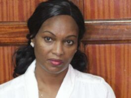 Sarah Wairimu Cohen denied bail as High Court cites witness interference concerns.