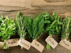 Herbs!! Cure For Diabetes & High Blood Pressure Finally Out