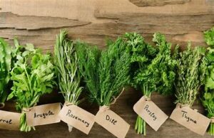 Herbs!! Cure For Diabetes & High Blood Pressure Finally Out