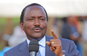 MP Urges Ruto to Include Kalonzo in Raila Pact President Ruto urged to include all like-minded leaders Kalonzo in his pact with Raila Odinga.