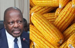 Gov’t Clears Way for Yellow Maize Imports to Ease Unga Crisis