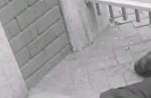 Kenya Power Mourns Security Guard Shot Dead by Police at Office Entrance