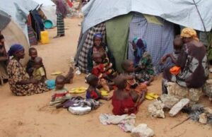 Dadaab Faces Hunger Crisis as Aid Cuts Take Toll WFP's Bamba Chakula program in Dadaab was fully suspended in June, leaving families without food.