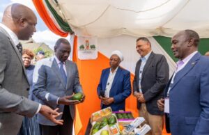 Gov’t Pumps Sh25 Billion into County Industrial Parks to Boost Agro-Processing Gov’t Pumps Sh25 Billion into County Industrial Parks to Boost Agro-Processing