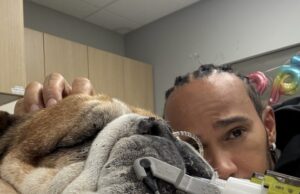 Lewis Hamilton Misses Tyre Test to Stay by Hospitalized Dog Roscoe Lewis Hamilton Misses Tyre Test to Stay by Hospitalized Dog Roscoe