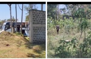 Passengers Turn Hunters as Escaped Chicken Disrupts Guardian Bus Journey