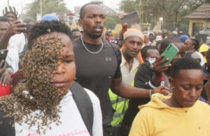 Githurai Man Uses Bees to Trap His Own Mother