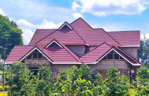 From Roadside Uji to Ruiru Mansion: Shiko’s Astonishing Rise https://drbokko.com/2025/10/01/hii-nayo-si-uji-aseme-tu-ukweli-kiambu-woman-stuns-locals-after-building-a-manson-from-uji-power-business/