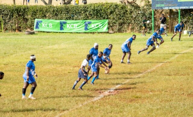 KCB Rip Apart Leos 72–14 in Ruthless Kenya Cup Display
