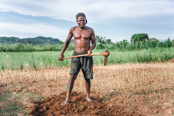 African Farmer in Malawi