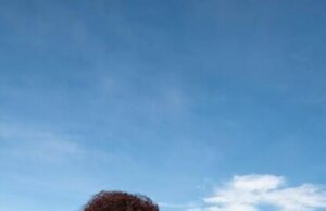 Kutoka Ubishi Hadi Mafanikio: Safari ya Nancy na Ken