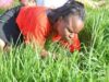 Daylight Drama as Thieves Caught Eating Grass After Stealing From Shop in Narok