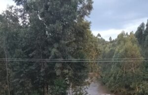 River Yala: Stories Beyond the Waters