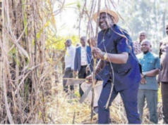 Migori Sugarcane Farmers Demand Ksh. 185 Million in Unpaid Dues from Government Migori Sugarcane Farmers Demand Ksh. 185 Million in Unpaid Dues from Government