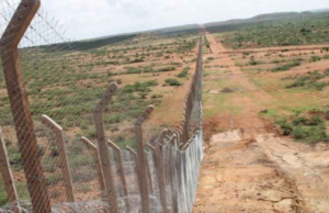 Kenya to Reopen Somalia Border in April After 14-Year Closure Kenya to Reopen Somalia Border in April After 14-Year Closure Mukhtasari President William Ruto says the Kenya-Somalia border will reopen in April The border has been closed since 2011 due to Al-Shabaab threats Security will be strengthened to prevent criminal infiltration The move aims to boost cross-border trade in Mandera and Garissa The reopening was approved by the National Security Council Committee Miraa trade will resume through selected border points Border Reopening Confirmed The Kenyan government has announced plans to reopen the Kenya-Somalia border in April, bringing to an end a closure that has lasted since 2011. President William Ruto made the announcement while addressing residents in Mandera. He said the move is intended to revive trade between the two countries while maintaining strong security controls. The border was initially shut due to security threats linked to the Al-Shabaab militant group. Security Measures to Remain Tight President Ruto assured the public that reopening the border will not weaken national security. He said additional security officers will be deployed to monitor movement and block any attempt by criminal or extremist groups to cross into the country. The President also called on local leaders and residents to share intelligence with authorities to help stop any possible threats. Trade Expected to Benefit According to the Head of State, reopening the crossing points in Mandera and Garissa counties will allow traders from both Kenya and Somalia to resume business activities. He noted that trade cannot thrive when borders remain closed and pledged to personally return in April to officially reopen the post. The government believes the move will support economic growth in the region. Previous Attempts Delayed Efforts to reopen the border in phases began in 2023 but were halted in July that year following renewed security concerns linked to Al-Shabaab. In 2024, Interior Principal Secretary Raymond Omollo confirmed that the closure would continue as security operations were ongoing in Somalia. Miraa Trade Resumes First On February 6, the Ministry of Interior formally announced that the border would reopen to allow the export of miraa to Somalia. The decision followed a request from the Nyambene Miraa Trade Association, which sought access to help farmers and traders resume business. Interior Principal Secretary Raymond Omollo stated that the National Security Council Committee had approved the reopening. Trade in miraa will be conducted through designated border points, including Mandera, Liboi, and Kiunga. International Cooperation in Security The government has said the reopening will follow a careful and intelligence-based plan. Kenya continues to work closely with international partners such as the United Kingdom and the United States in the fight against Al-Shabaab. Officials maintain that while trade will resume, national security remains a top priority as the country prepares for the border reopening in April.