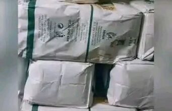 Kenya’s Flour Industry Under Pressure as Safety Rules Collide With Cheap Competition