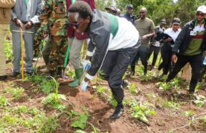 Kenyans Cheer as Elgeyo Marakwet Man Rewrites Tree Planting History Kenyans Cheer as Elgeyo Marakwet Man Rewrites Tree Planting History