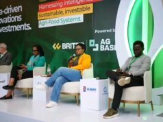 Nairobi to Host AgriFin Summit on Sustainable Digital Agriculture Agriculture and technology stakeholders discussing digital services for smallholder farmers at an AgriFin event.